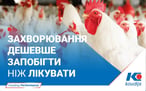 Коудайс Україна — вакансия в Консультант по вирощуванню ВРХ, зоотехнік (вся Україна): фото 9