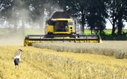 ІМК, Аграрна компанія  — вакансия в Тракторист-машиніст