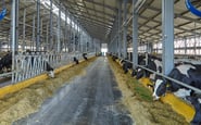 ТЕРМОАКУСТИКА, ЧП — вакансія в Працівник на коров'ячу ферму у Польщу: фото 3