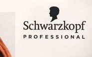 Дистрибуційні Мережі, ТОВ — вакансія в Менеджер з продажу косметичної продукції ТМ "Schwarzkopf Professional" (бажано з автомобілем): фото 2