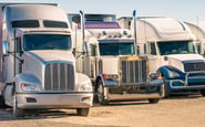 Global Transport Inc. — вакансия в Independent Freight Agent/Broker (Logistics): фото 3