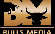 Bulls-media — вакансия в WordPress Developer