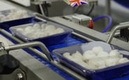 Зa Kordon легко — вакансия в Работник на конвейер по упаковке и сбору грибов в Англию вылет на февраль-март 2022г. (официальный контракт и рабочая виза Великобритании)