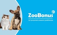 ZooBonus — вакансія в Рекрутер, HR-менеджер: фото 5