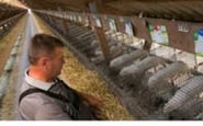 ТЕРМОАКУСТИКА, ЧП — вакансія в Працівник на норкову ферму у Польщу: фото 5