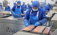 Universal Fish Company  — вакансия в Слюсар КВПіА: фото 3