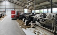 ТЕРМОАКУСТИКА, ЧП — вакансия в Фермер (на коровячу ферму) в Польщу: фото 5