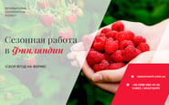 International Cooperation Agency — вакансія в Срочно! Сезонная работа в Финляндии и Германии - сбор ягод на ферме