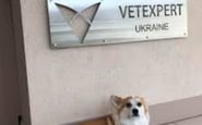 VetExpert — вакансія в Администратор ветеринарной клиники