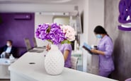 Vidnova Clinic — вакансія в Ассистент стоматолога