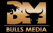 Bulls-media — вакансия в BI Developer