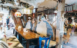 Самогонна Ресторація — вакансия в Су-шеф у ресторан "Грибова Хата" (Буковель): фото 17