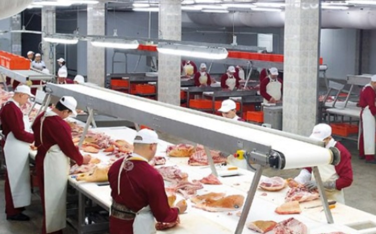People Tomorrow  — вакансія в Разнорабочий на мясокомбинат (Чехия): фото 3