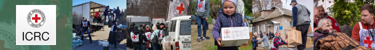Deputy Head of Sub-Delegation – Odesa - 847067 — вакансия в International Committee of the Red Cross