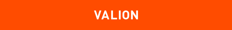 VALION real estate group / Киев