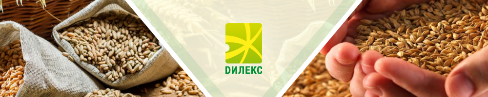 Дилекс трейд / Dilex Group — вакансия в Бухгалтер главный (экспорт, опт, Печерск)